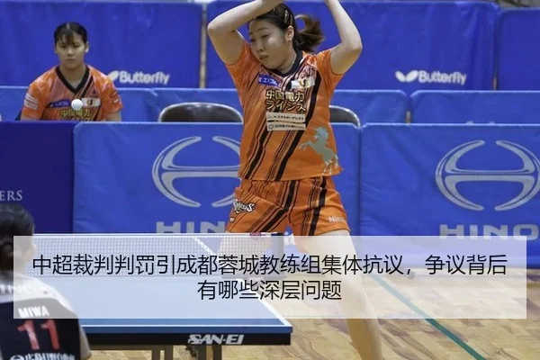 zhong-chao-cai-pan-pan-fa-yin-cheng-du-rong-cheng-jiao-lian-zu-ji-ti-kang-yi-zheng-yi-bei-hou-you-na-xie-shen-ceng-wen-2-890.jpg